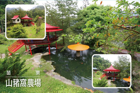 超值一日遊森林遊樂區門票！平假日不加價！體驗露營享受美食~家族旅遊首選