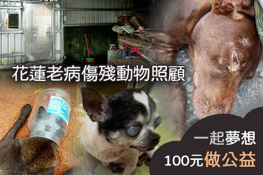 給毛孩一個安全避風港，不再流浪，老有所終！