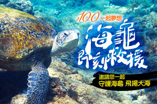 100元！【一起夢想－海龜即刻救援】邀請您一起守護海龜，飛揚大海！