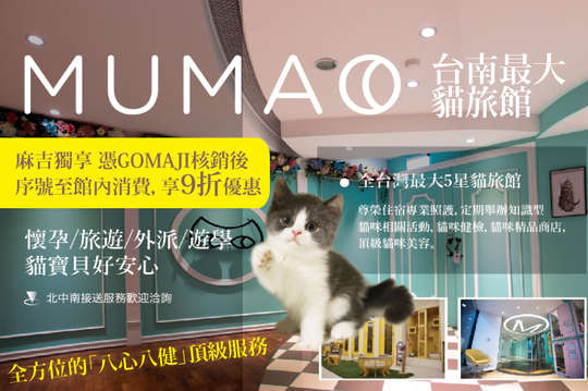 台南最大貓旅館，二天一夜/五天四夜住宿方案