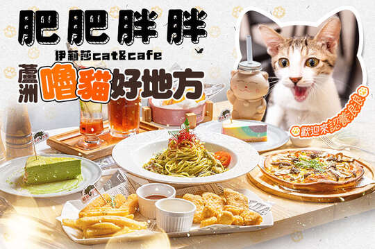伊莉莎肥肥胖胖Cat.Cafe (中原店)