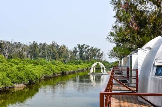 雙春濱海遊憩區享受星空觀景住宿專案