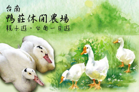 台南一日遊，近官田地區，門票DIY優惠專案