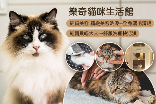 樂奇貓咪生活館 樂奇貓咪生活館