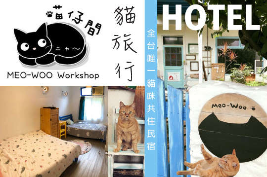 雙人/三人/七人住宿，熱愛鏟屎官限定！帶您主子一起來貓旅行住一晚