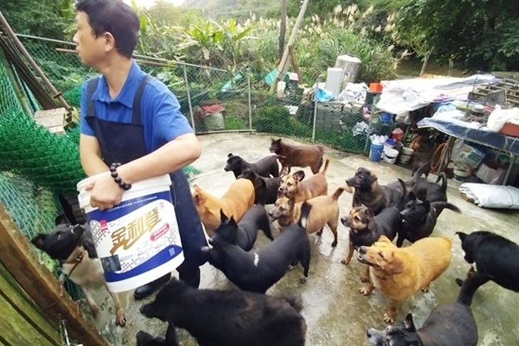 浪愛前行-新北狗園毛孩飼料捐助