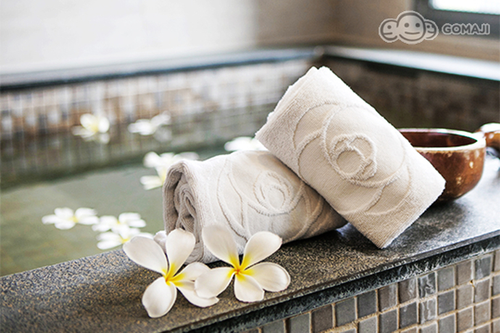 台中-日光溫泉會館