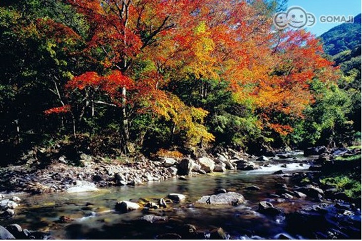 台中-武陵富野渡假村