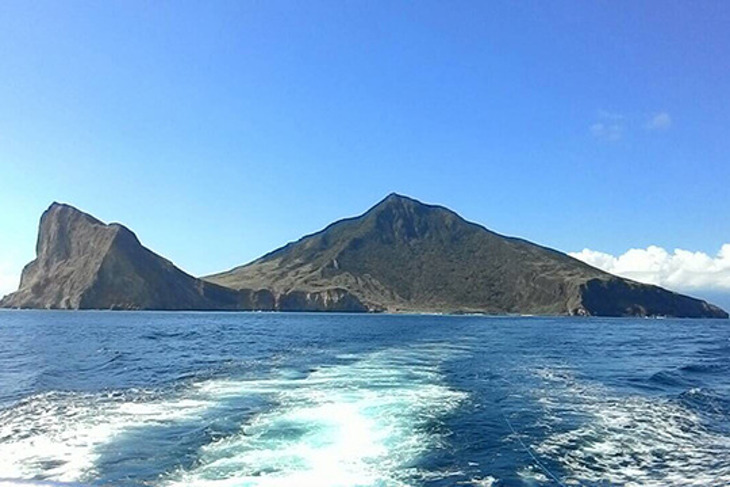 宜蘭-新福豐36號賞鯨旅遊
