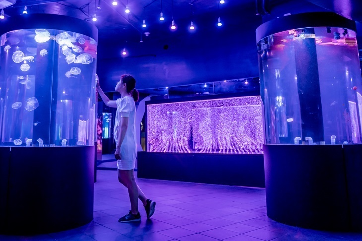 花蓮-遠雄海洋公園