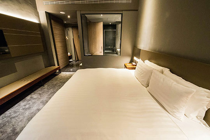 嘉義-嘉楠風華酒店