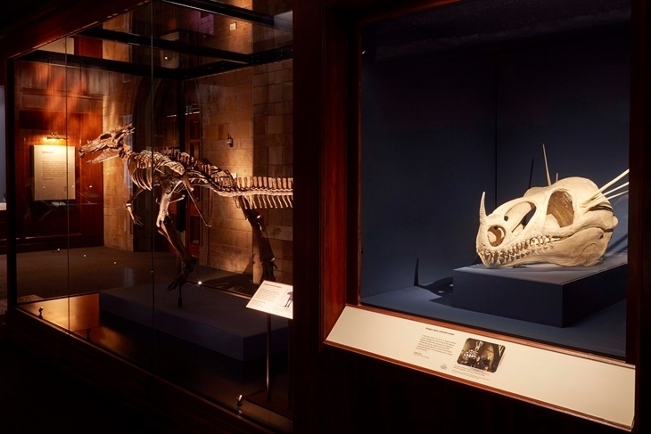 怪獸與大自然的奇幻世界