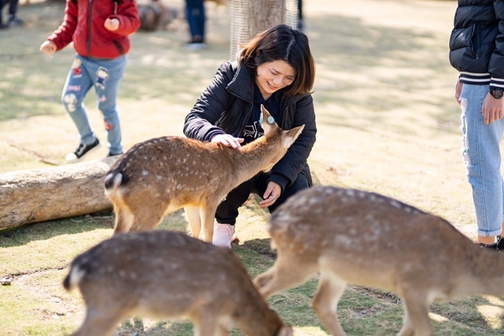 小琉球-鹿粼梅花鹿園區