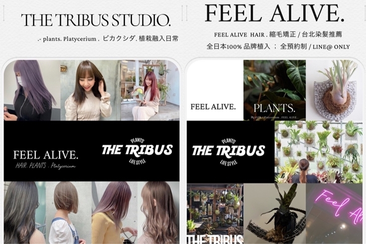 FEEL ALIVE . HAIR STUDIO