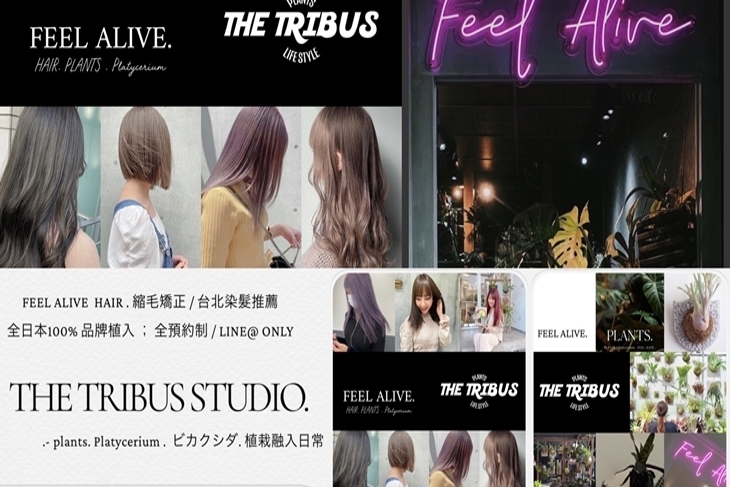FEEL ALIVE . HAIR STUDIO