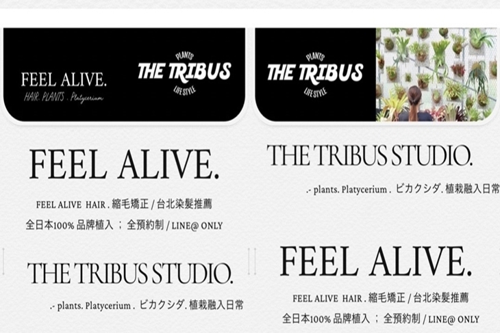 FEEL ALIVE . HAIR STUDIO