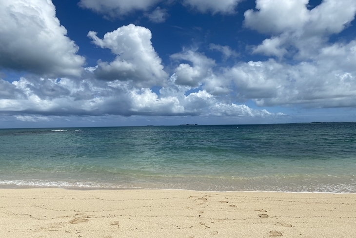 水上活動暢玩 龍蝦島抓龍蝦體驗一日遊