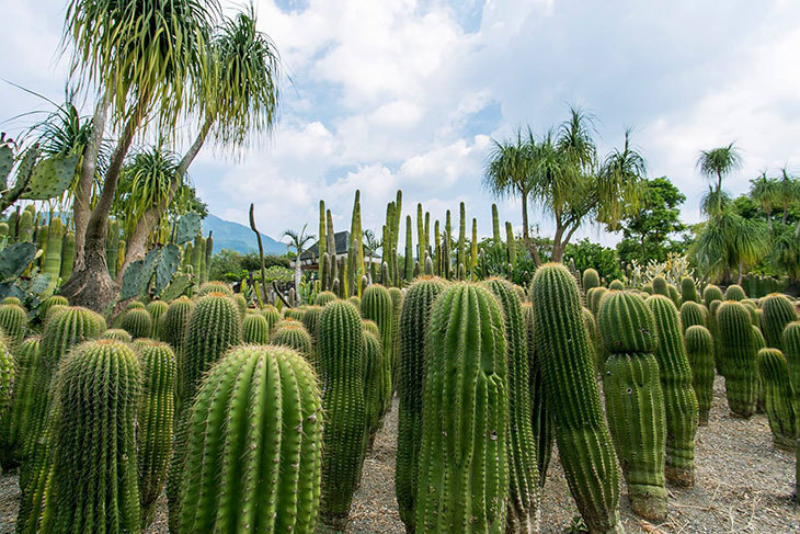 大路觀主題樂園
