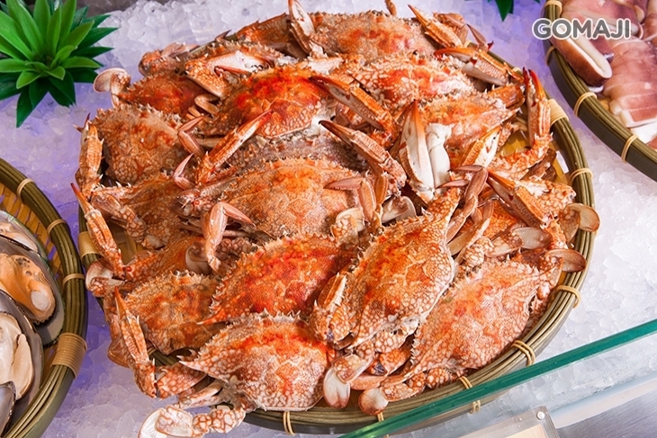 台北福華大飯店-彩虹座