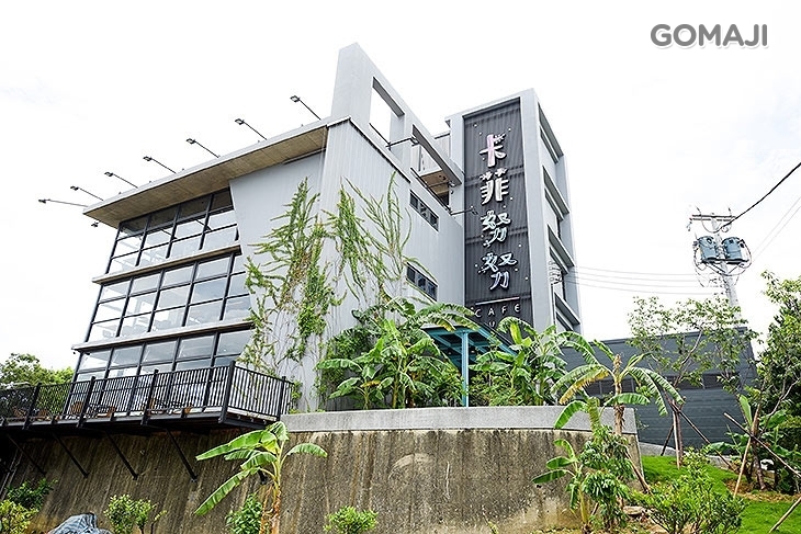 卡菲努努明星店