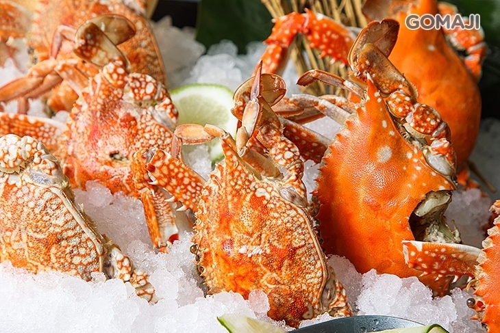 竹湖暐順麗緻文旅-凡爾賽