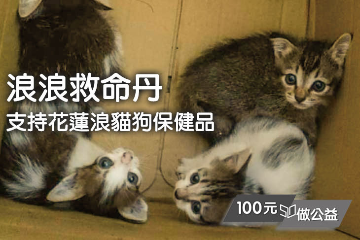 浪浪救命丹！支持花蓮浪貓狗保健品