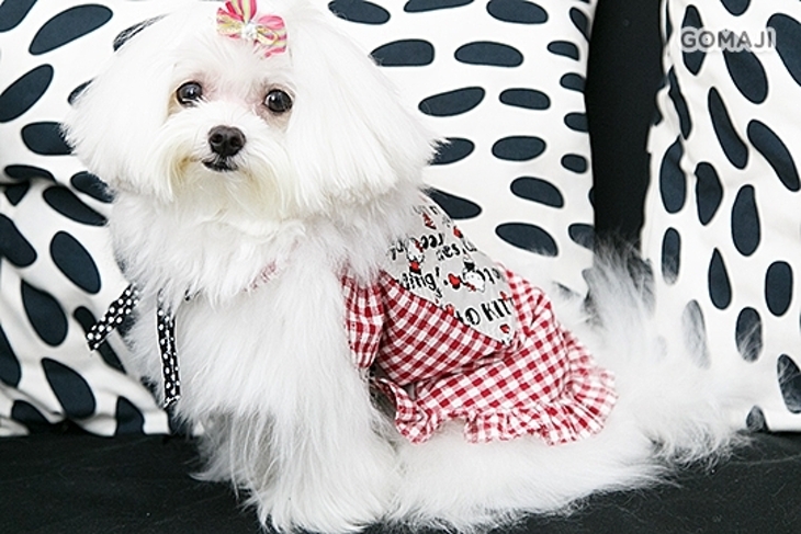 亞記縫紉‧精品‧才藝課