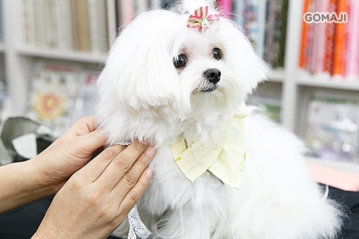 亞記縫紉‧精品‧才藝課