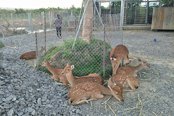 墾丁-富麗敦飯店