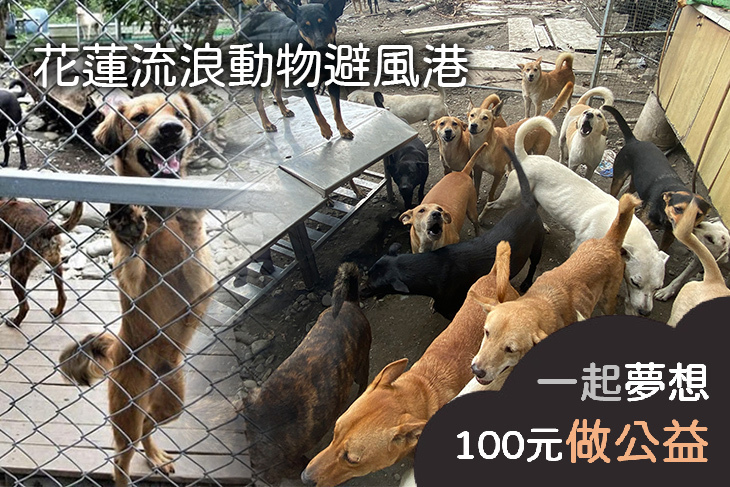 花蓮流浪動物避風港
