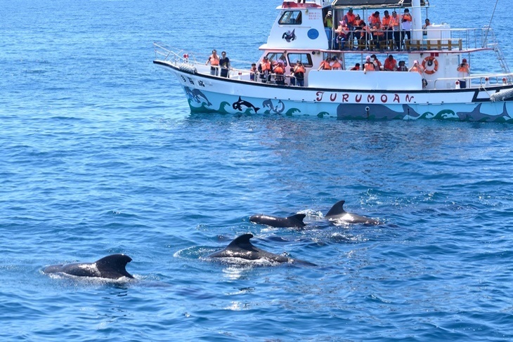 【夠麻吉X農遊超市】花蓮多羅滿號