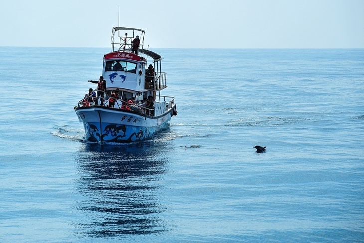 【夠麻吉X農遊超市】花蓮多羅滿號