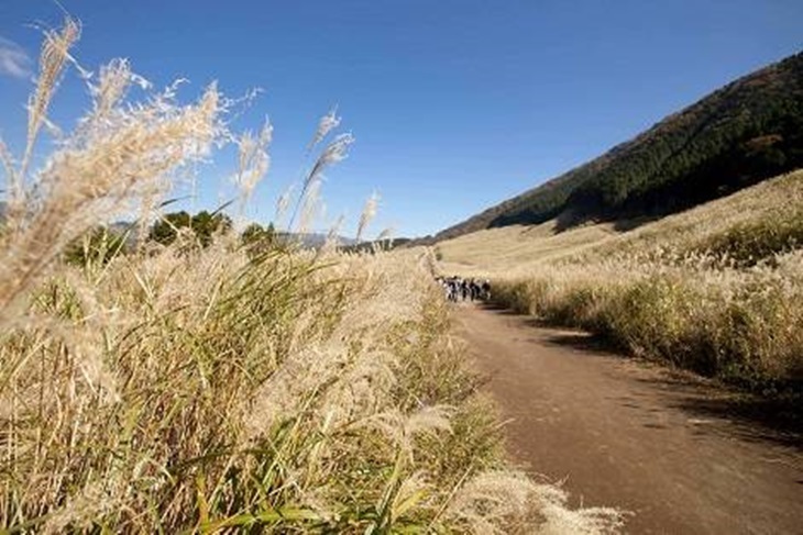 日本- 箱根周遊券