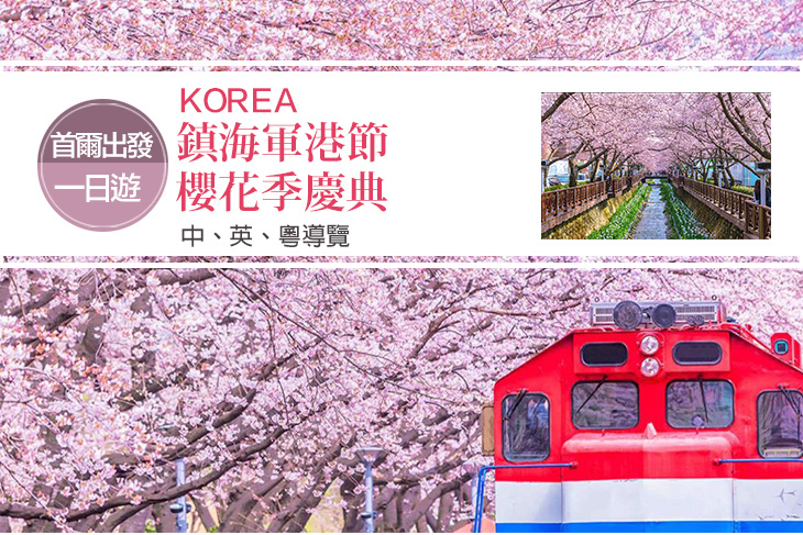 韓國-鎮海軍港節櫻花季慶典一日遊(首爾出發)
