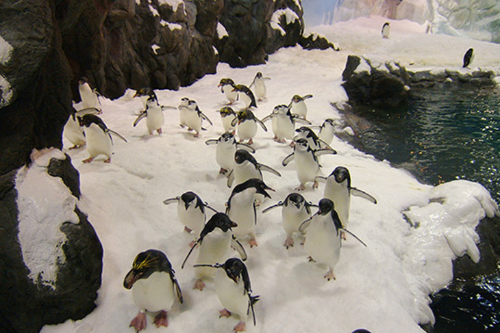 屏東-國立海洋生物博物館