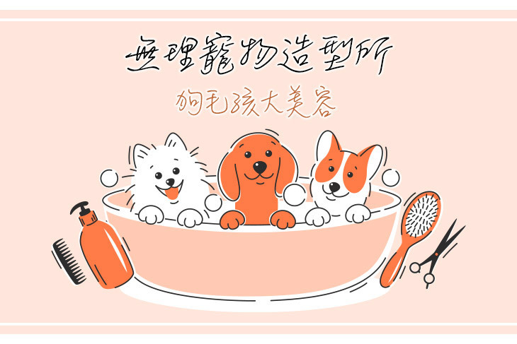 無理寵物造型所