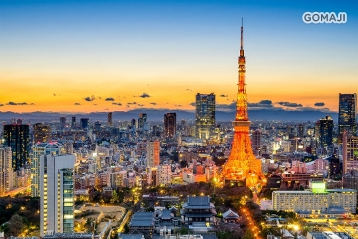 香草航空(台北-東京)來回機票