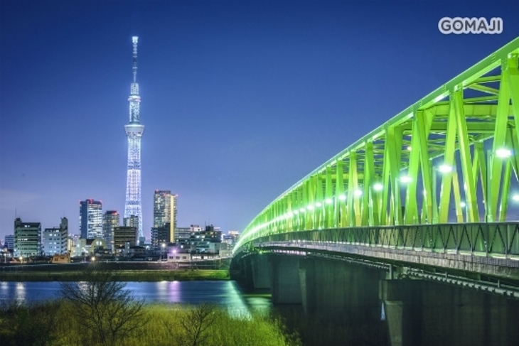 香草航空(台北-東京)來回機票