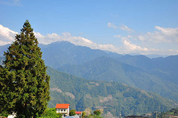 清境-藍天花園景觀民宿(清境峰情分館)