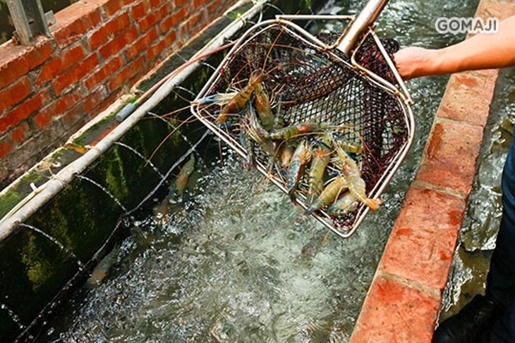 全海岸活蝦餐廳