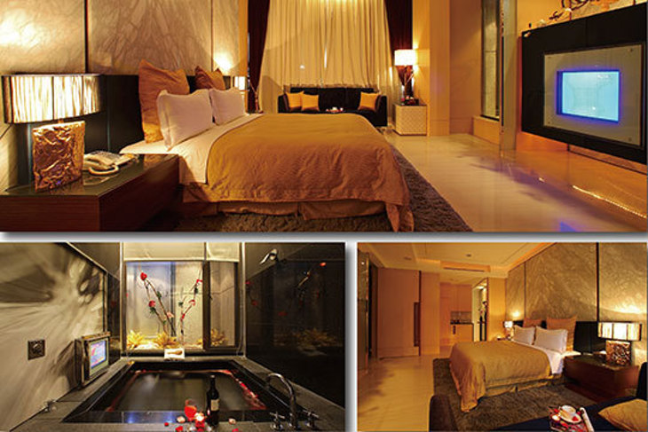 新竹-湖山風景旅館