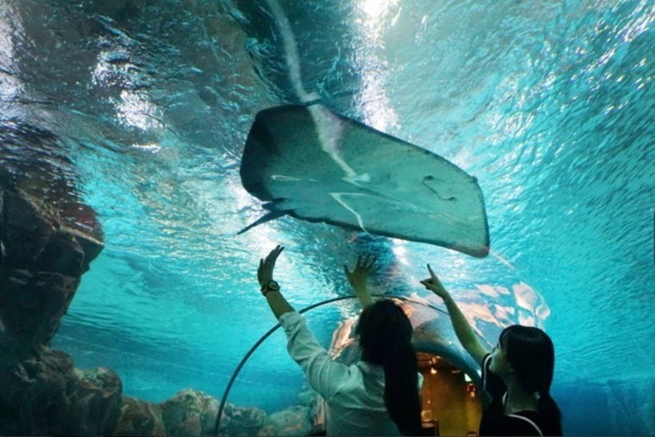 首爾-COEX水族館門票