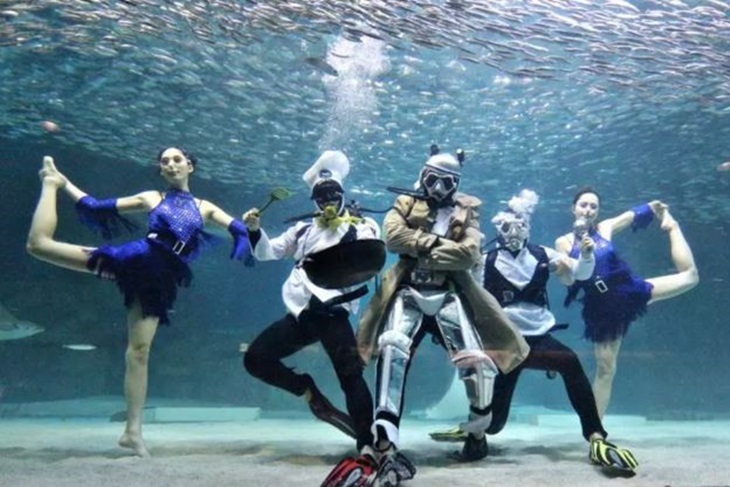 首爾-COEX水族館門票