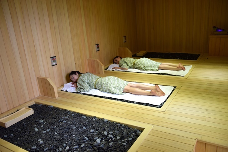 日月潭-馥麗溫泉大飯店