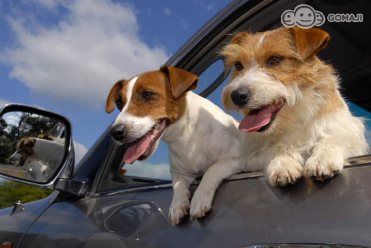 南投埔里-亞締大飯店