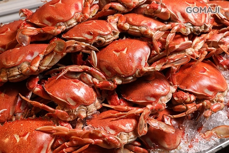 葳尼斯牛排自助百匯吃到飽