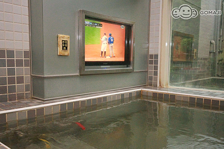 烏來-湯布苑溫泉館