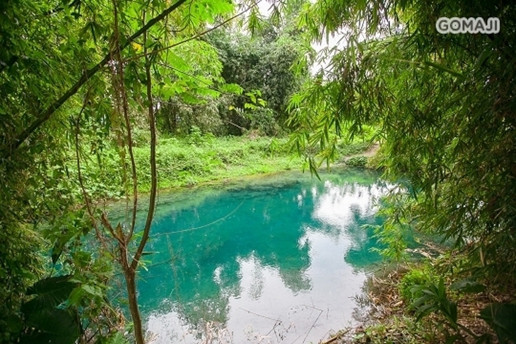 花蓮觀光糖廠-日式木屋旅館