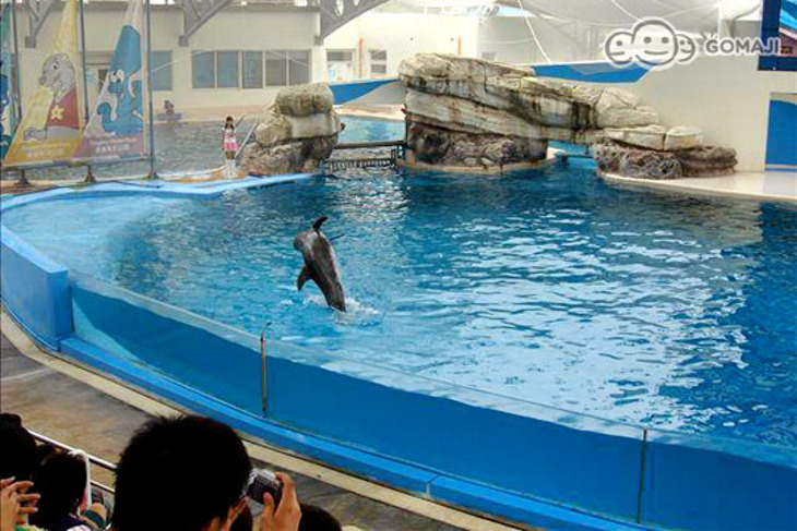 花蓮-遠雄悅來大飯店