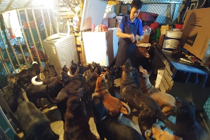 一起夢想－毛孩與我